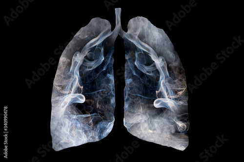 Illustration of a toxic smoke formation shaped as the human lung, The concept of cigarette smoker lungs on black background