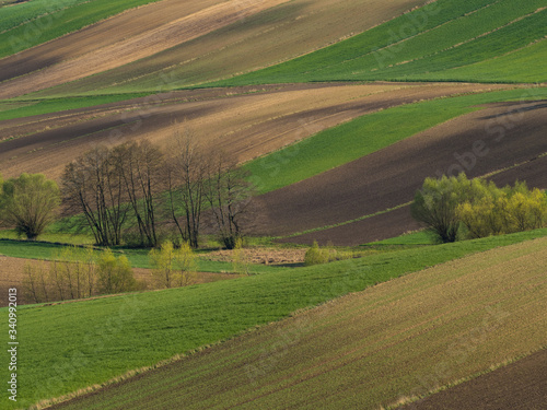 Countryside spring landscape of plowed fields. Green grass and trees. Ponidzie. Poland