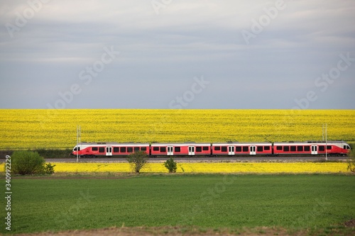 Billede på lærred Hungarian red train moving on railway in rapeseed field, spring landscape