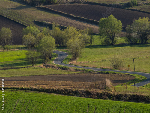 Countryside spring landscape of plowed fields. Green grass, trees and beautfifully winding road. Ponidzie. Poland photo