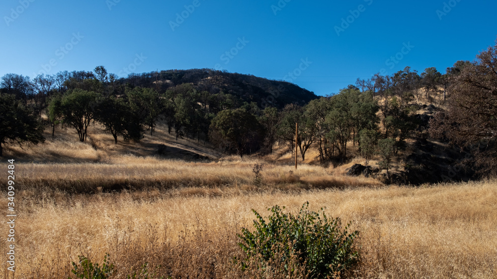 field in mountains of north california field in mountains of north california