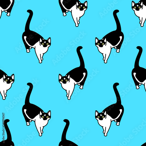 Fototapeta Naklejka Na Ścianę i Meble -  Seamless pattern with cute black and white cats. Texture for wallpapers, stationery, fabric, wrap, web page backgrounds, vector illustration