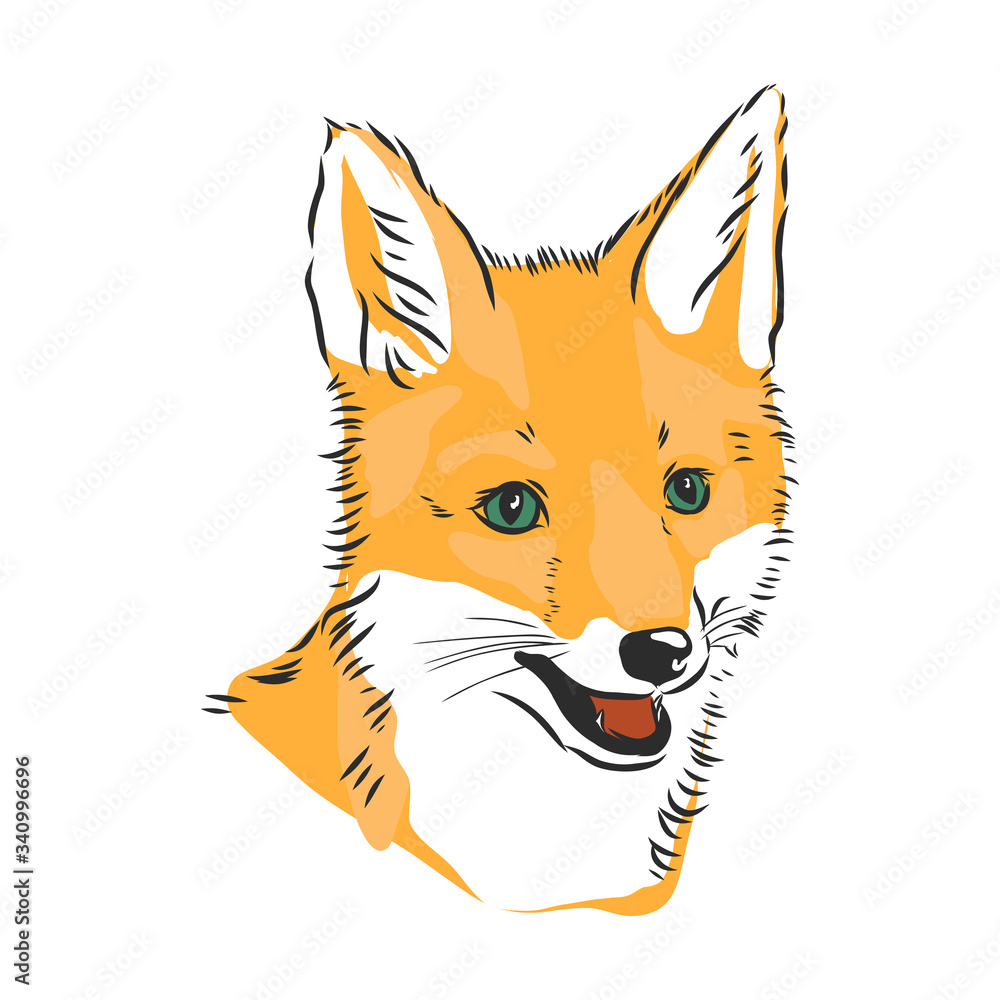 Obraz premium Fox portrait. Hand drawn vector illustration. Can be used separately from your design. portrait of a Fox, Fox head vector sketch illustration