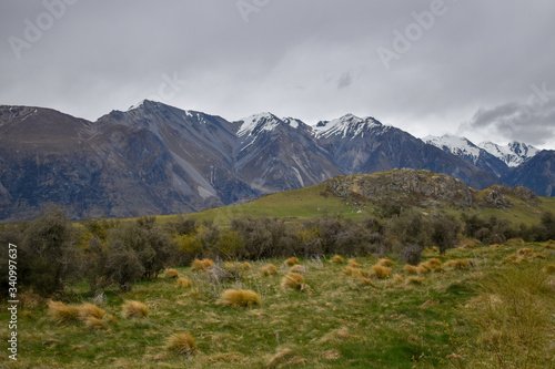 new zealand landscape