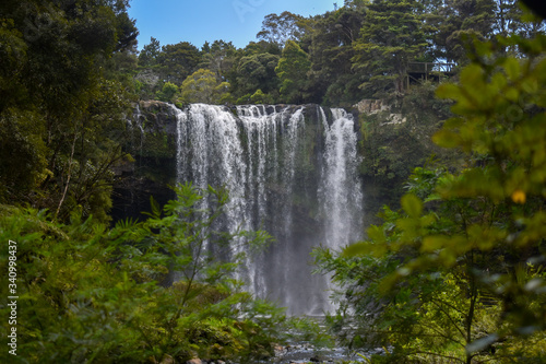 whangarei falls in new zealand