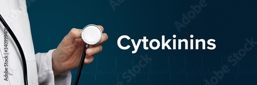 Cytokinins. Doctor in smock holds stethoscope. The word Cytokinins is next to it. Symbol of medicine, illness, health photo