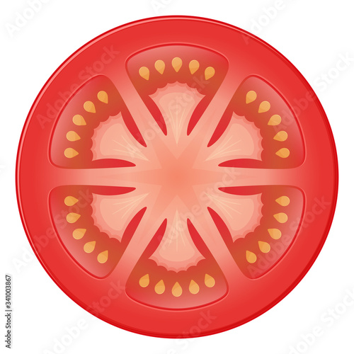 トマトのイラスト_横_断面
