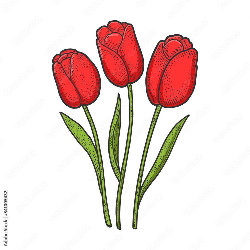 Botanical Flower Art: Red Flowers and Green Leaves