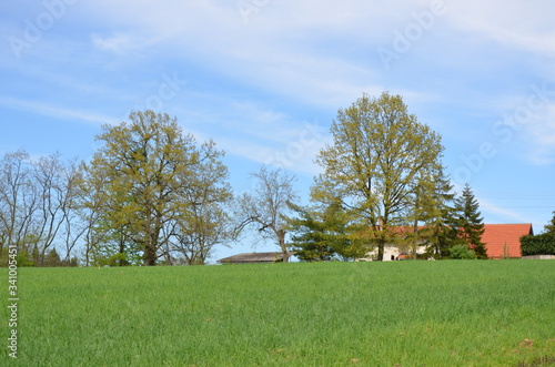 Rural landscape with a house