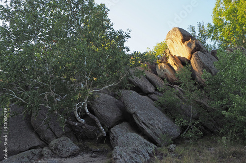 The fantastic rocks with cracks in the birch forest in the summer evening © Anna Silanteva