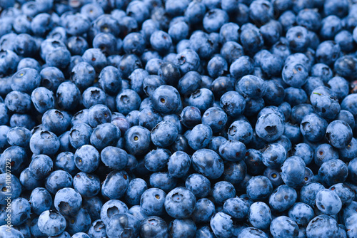 Fresh blueberry background. Texture blueberry berries close up.