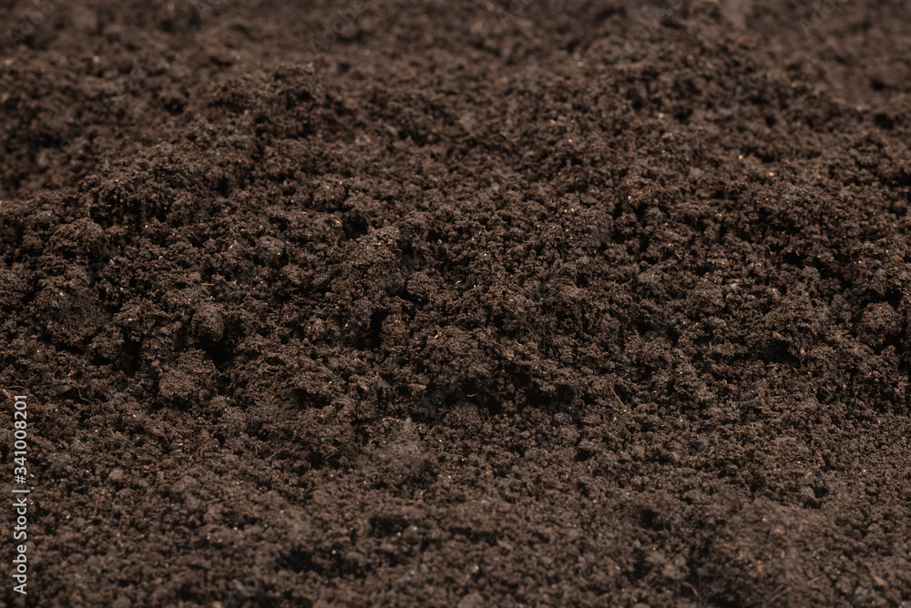 Black land for plant background. Black land for plant background.