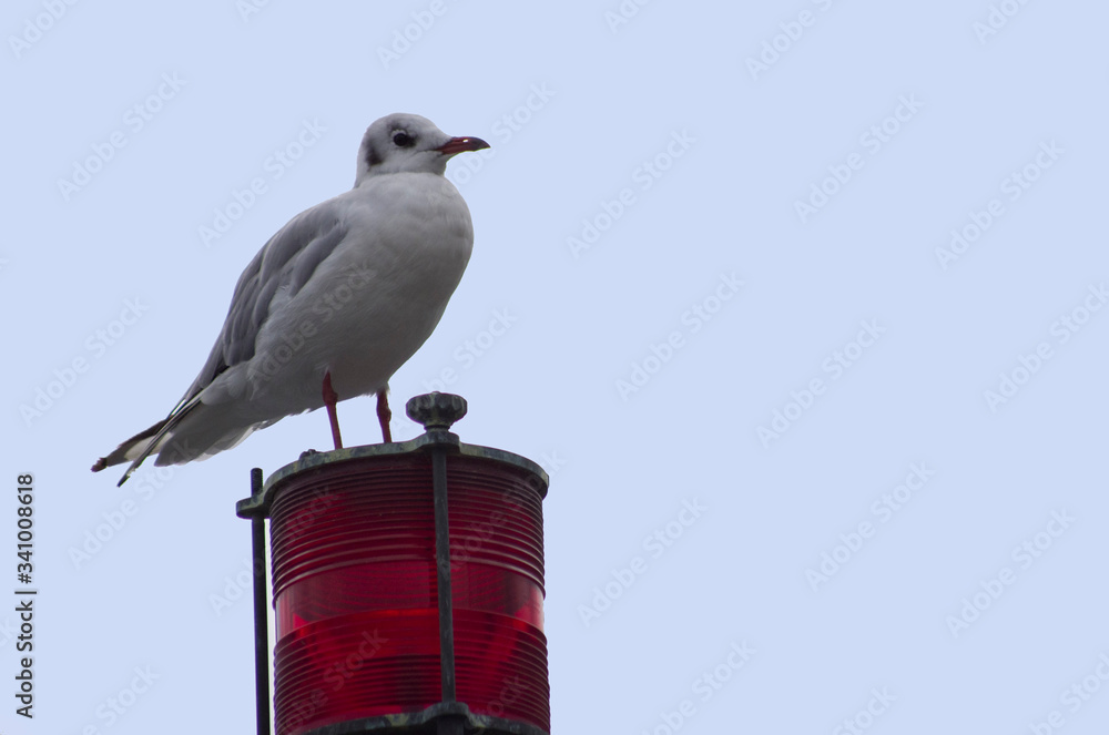 Obraz premium Uno sguardo al futuro