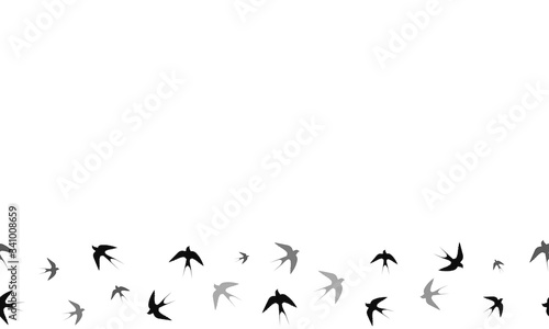 Seamless vector pattern. Swallows. Located below. Vector graphics. © Andrii Artamonov