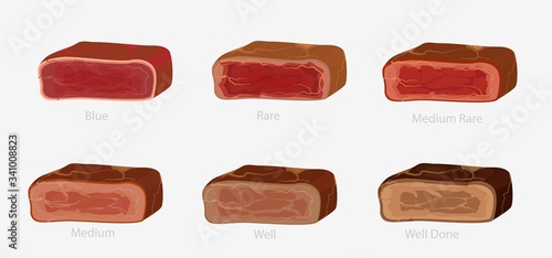 Set of various conditions of steak cooking vector graphic illustration. Collection of appetizing barbecue meat piece blue, rare medium and well doneness isolated on white background. Bbq beef bundle