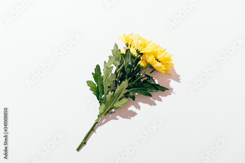 Yellow flowers bouquet casting shadow on white background