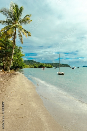 View of beach with sail boats and coconut tree on Martinique island in Caribbean