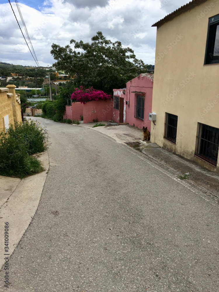 street in the old town of tallinn