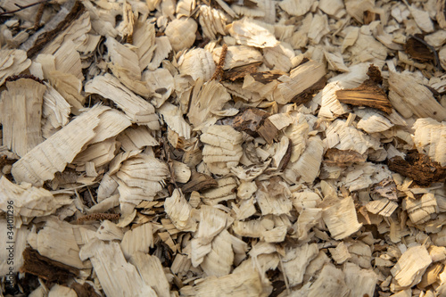 Wood chips in the forest