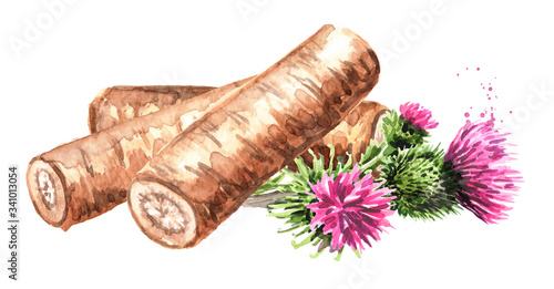 Canvas Print Burdock roots with flowers