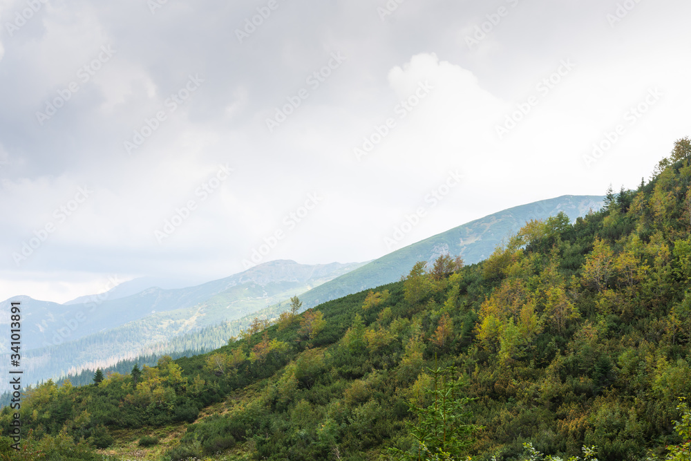 Tatras Mountains covered by green pine forests, Poland Tatras Mountains covered by green pine forests, Poland