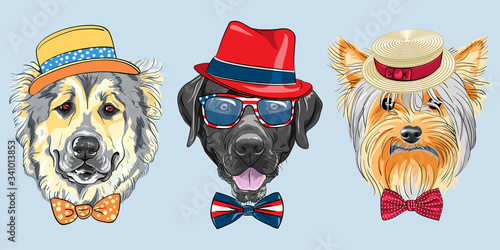 Set of hipster dogs in hats and bow ties. Caucasian Shepherd Dog, black Labrador Retriever in glasses and Yorkshire Terrier in Straw boater.