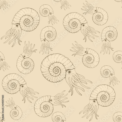 Ammonite fossil. Sketch of prehistoric ammonite. Extinct marine mollusc. Painted Ancient tropical forest seamless pattern. Ammonite fossil. Archeology paleontology background. Prehistoric concept. 