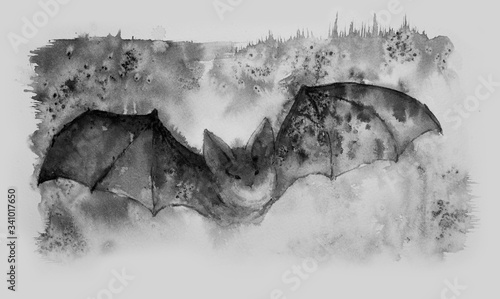 Bat. illustration ink drawing