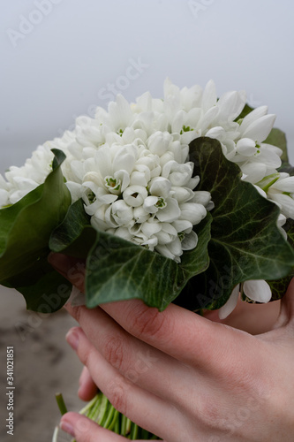 white snowdrops with green leaves in their hands, a bouquet