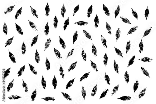 Mint leaves life prints black and white. Basis graphics