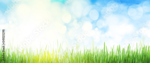 Abstract summer grass field and sky wide backdrop