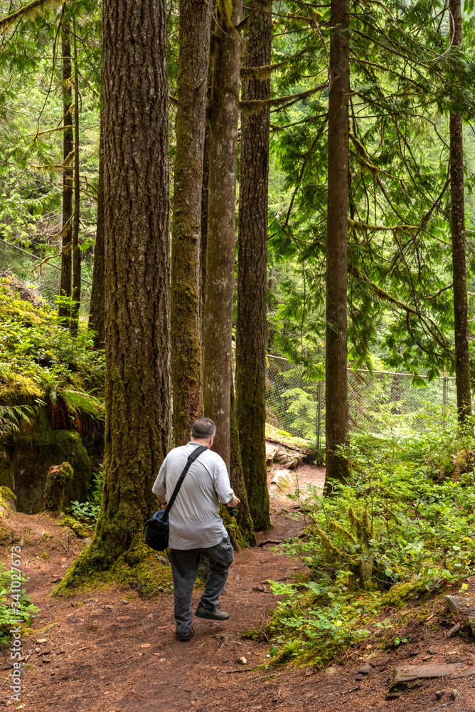 Middle aged man photographing in forest Middle aged man photographing in forest