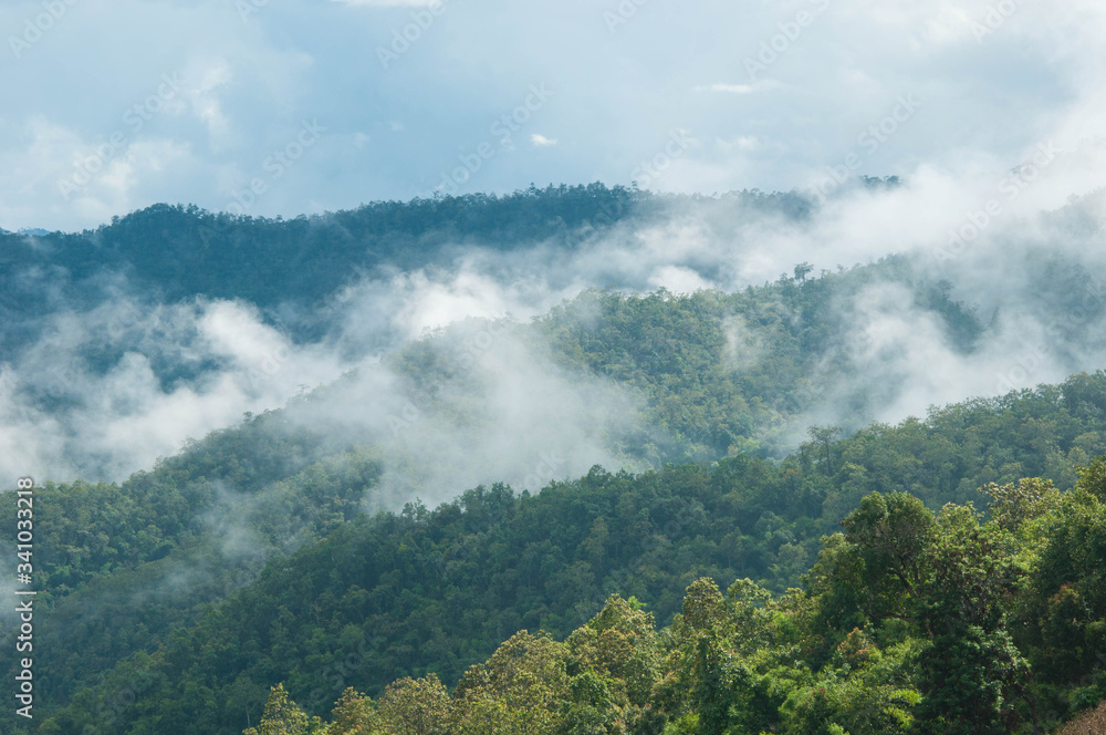 fog in the mountains