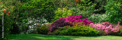 Beautiful Garden with blooming trees during spring time, Wales, UK, banner size