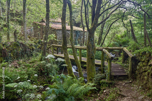 Small wooden bridge over the Tripes river in Galicia  Spain.