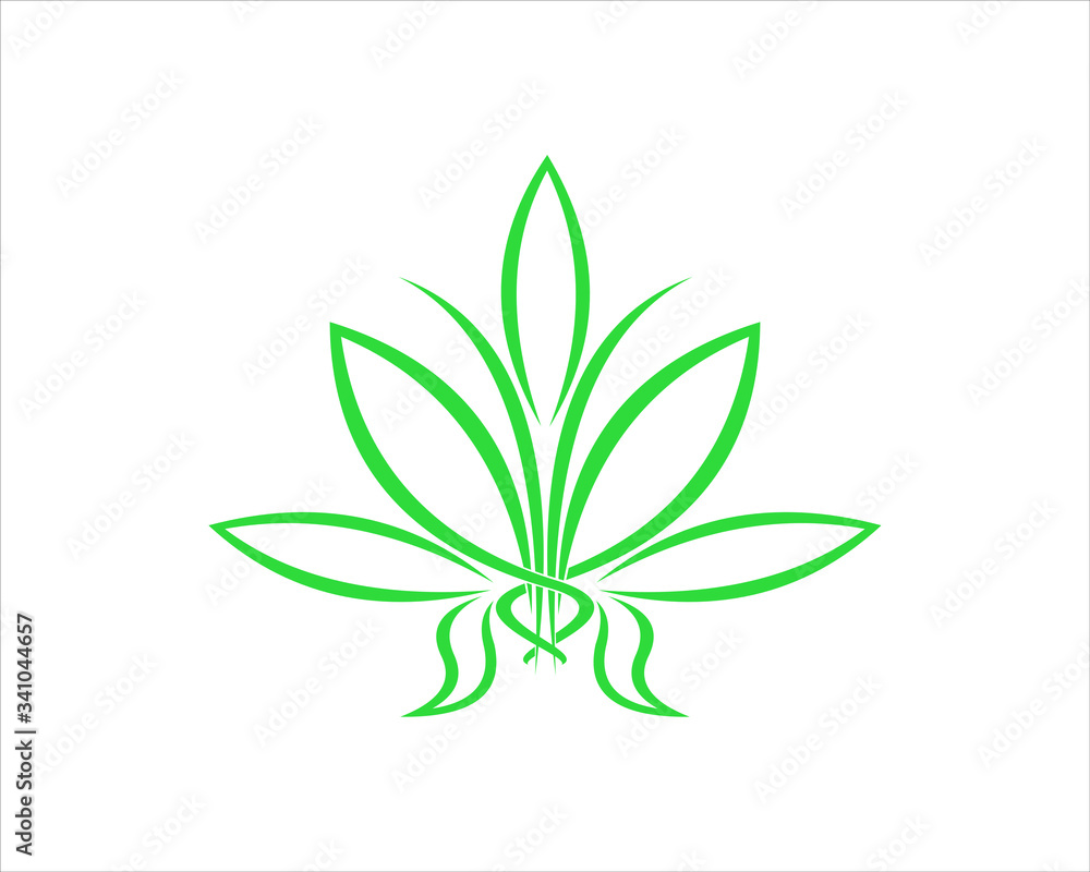 green leaves isolated on white background