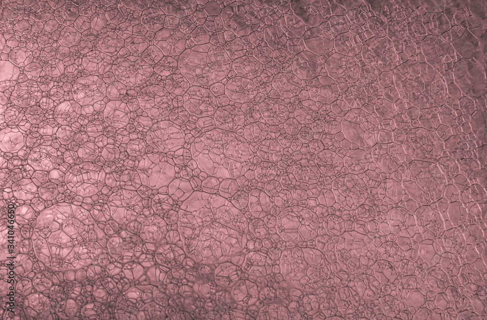 Fototapeta premium red bubbles macro