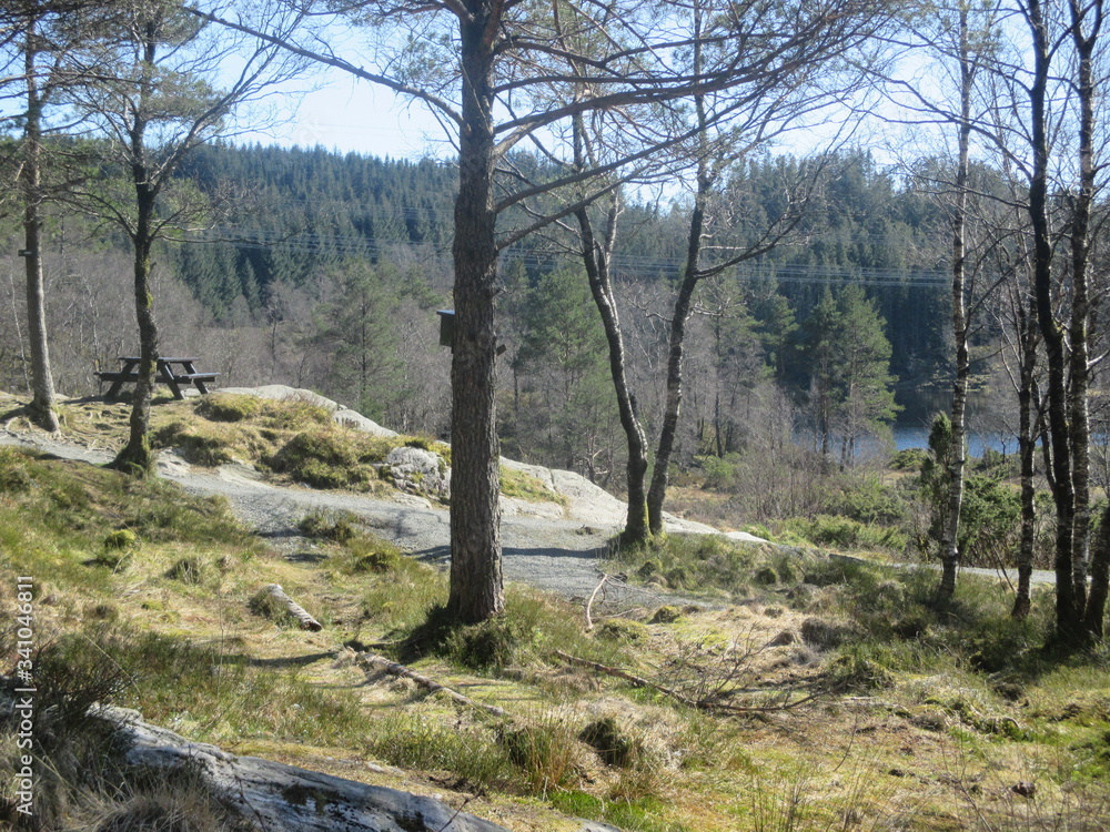 Fototapeta premium Spring hiking