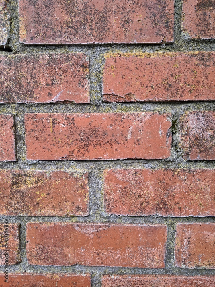 Bricks Bricks