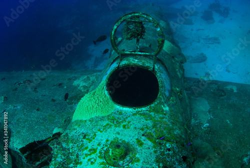 Εκτύπωση καμβά A shot of a cockpit from an underwater sunken plane called the Betty Bomber in Chuuk Lagoon