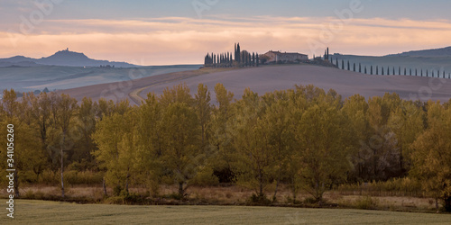 Tuscan hills with Cypress