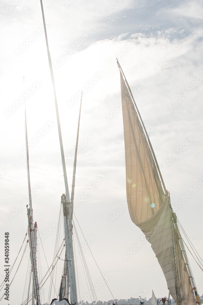 Obraz premium Egypt memoirs