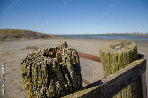 Old wooden poles standing in the beach