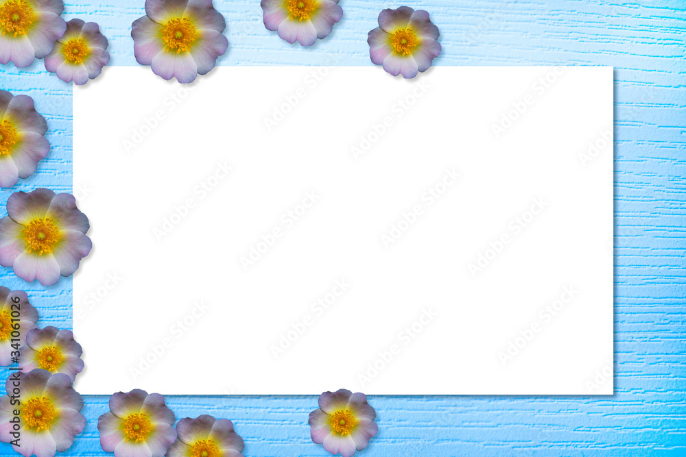Blue rustic wooden table decorated with spring flower buds Blue rustic wooden table decorated with spring flower buds