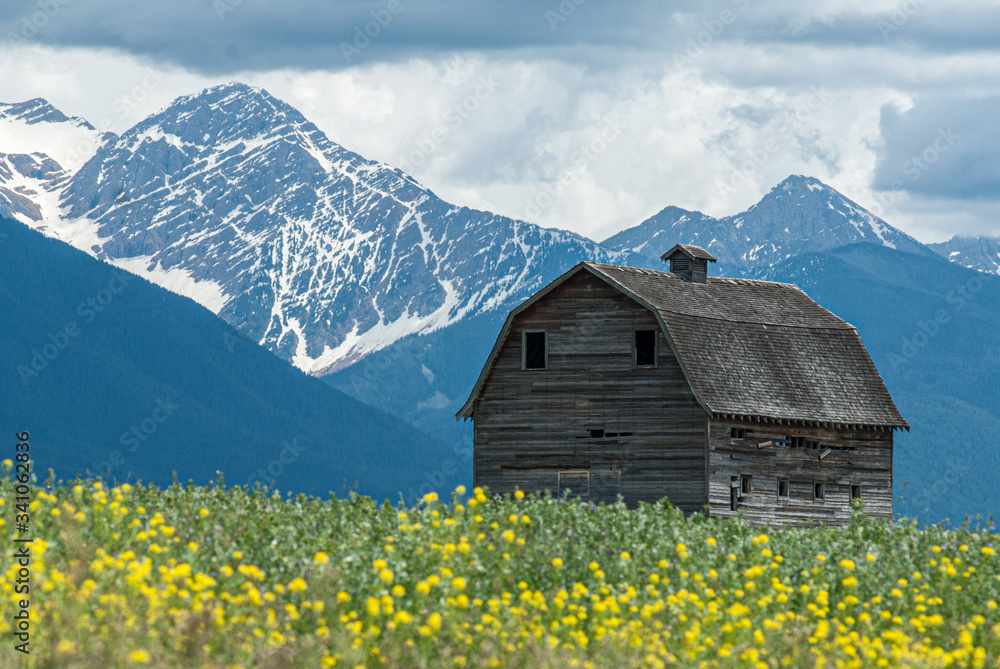 Fototapeta premium Old Barn With Mountain Backdrop