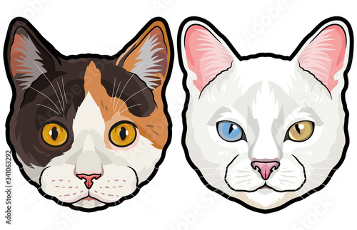Set of two colored house cat heads vector illustration isolated