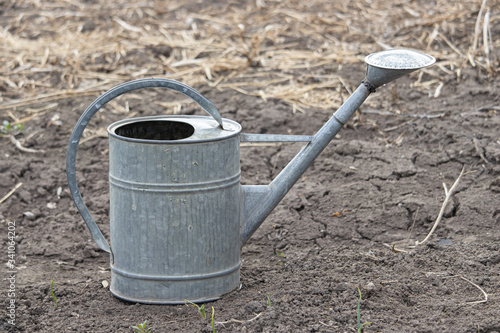 Old watering still iron can in garden on the ground. Simple vessel for drip irrigation of plants. Body, handle, spout and diffuser. Farm life in the village