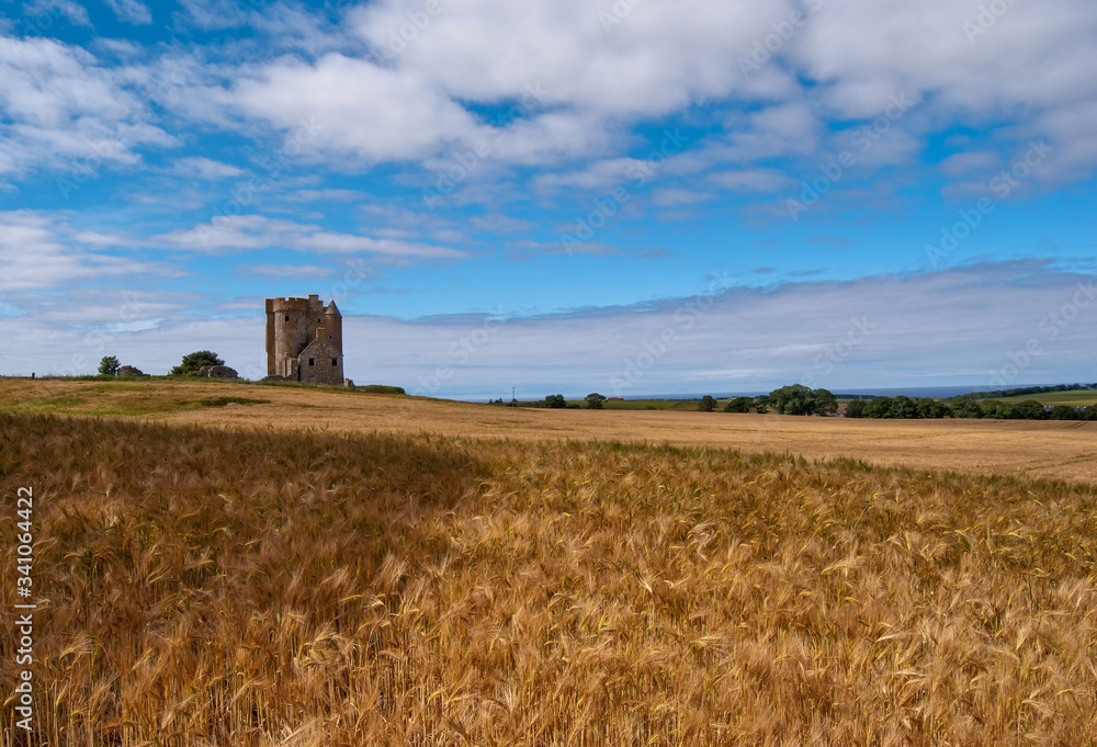 wheat field and blue sky with castle