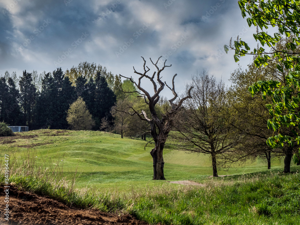 EMPTY GOLF COURSE DURING LOCK DOWN 2020