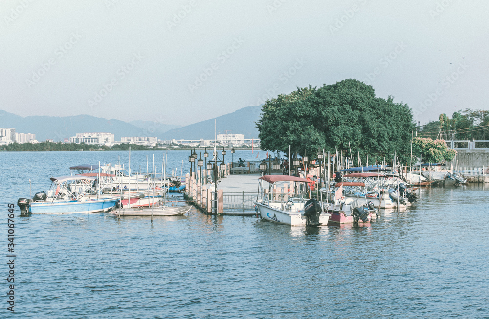 boats in the harbor